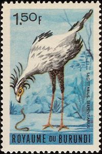Secretarybird (Sagittarius serpentarius)